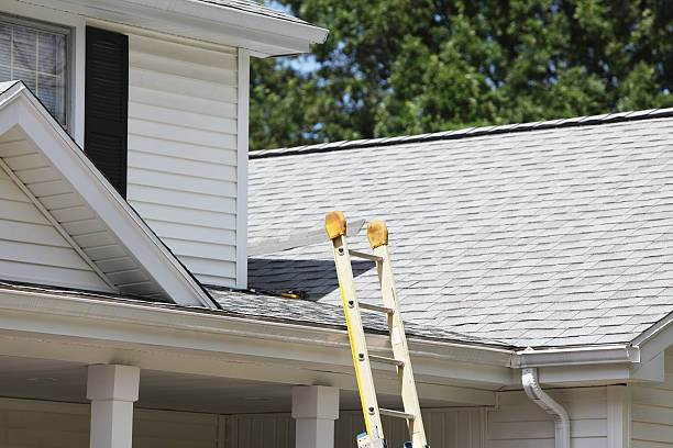 Reliable Brookdale, SC Siding Services Solutions